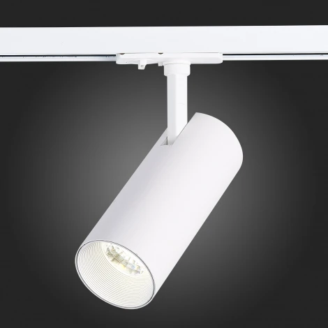 Трековый светильник ST Luce Mono ST350.546.20.36 (LED, 220V, круглые, IP22)
