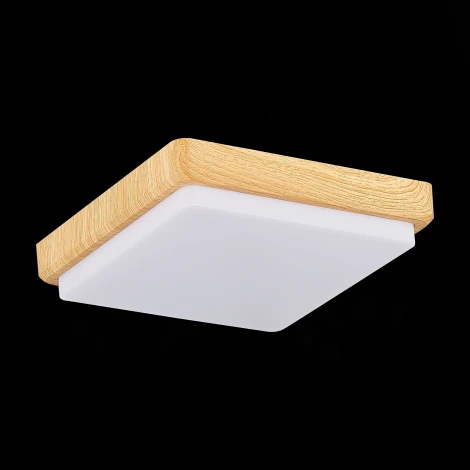 Потолочный светильник Evoluce Taddio SLE200202-01