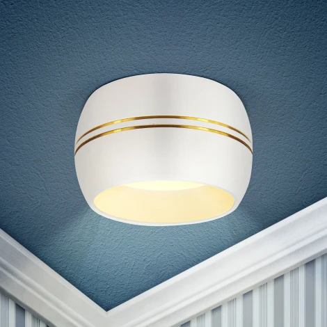 Встраиваемый точечный светильник ЭРА KL81 WH/GD (220V, круглые)