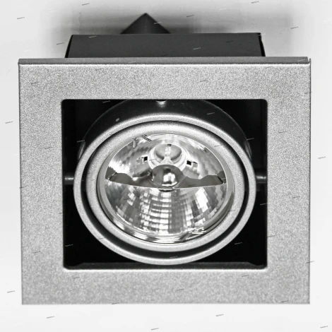 Встраиваемый точечный светильник Arte Lamp Cardani Medio A5930PL-1SI (220V)