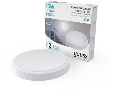 Настенно-потолочный светильник Gauss Hall 193411215-S