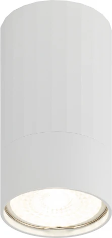 Точечный светильник ЭРА OL32 WH (220V)