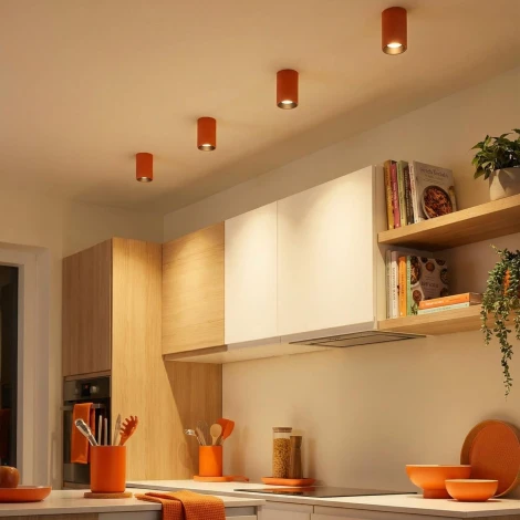 Потолочный светильник Citilux Axel CL512114 Терракот