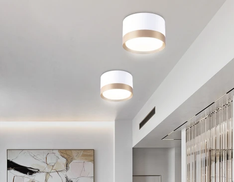 Точечный накладной светильник Ambrella TECHNO SPOT TN52355 (220V)