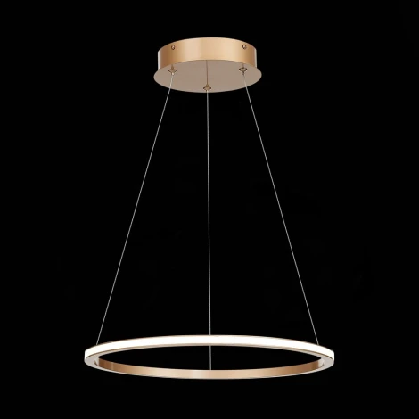 Подвесной светильник ST Luce St604 Out ST604.243.22 (LED, 220V, на тросе, кольцо)