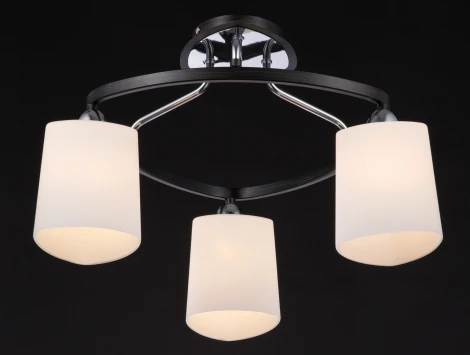 Потолочная люстра Maytoni Eurosize 6 TOC006-03-N