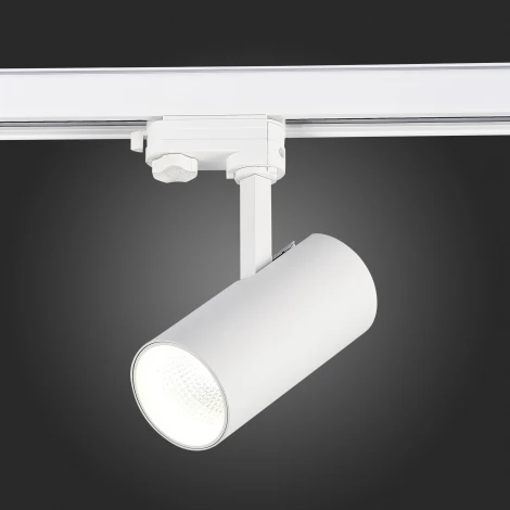 Трековый светильник трехфазный 220V ST Luce ST661 ST661.546.20 (LED, круглые)