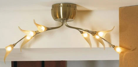 Потолочный светильник Lussole Roncobello LSA-0463-08