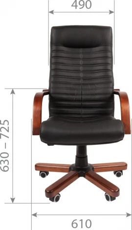 Компьютерное кресло CHAIRMAN 480 N WD (Металл,Дерево,Экокожа/Бежевый)