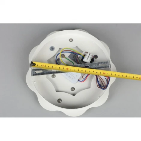 Настенный светильник Omnilux 79 OML-07901-26 (LED, 220V, цветы)