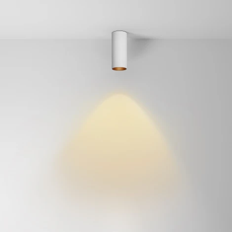 Потолочный светильник накладной Maytoni Focus Led C056CL-L12W2.7K-W-W (220V, круглые)