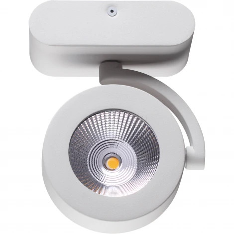 Спот Odeon Light Pumavi 3493/10WL