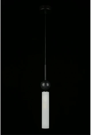 Подвесной светильник Aployt Gienia APL.339.06.01 (220V, на проводе, круглые)