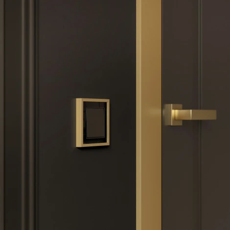 Рамка на 1 пост Baguette (черный/латунь) Werkel W0012852 (a060239)