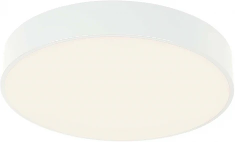 Потолочный светильник круглый F-Promo Arena 4683-4C (регулировка яркости, LED, 220V, пульт управления, круглые)