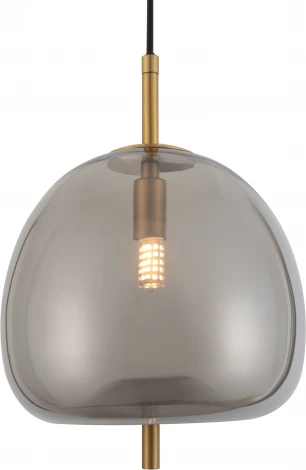 Подвесной светильник Rivoli Claire 6137-101 (220V, на проводе)