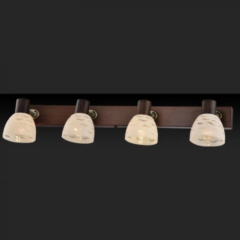 Спот Toplight Shayla TL3730Y-04BB (220V, круглые)