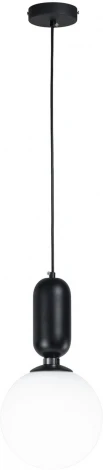 Подвесной светильник AM Group AM460 L200 BK (220V, на проводе, шар)