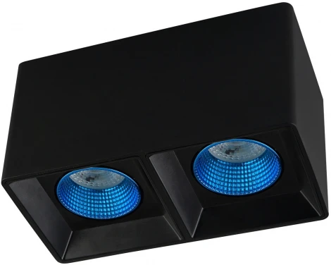 Накладной точечный светильник Denkirs DK3085-BK+CY