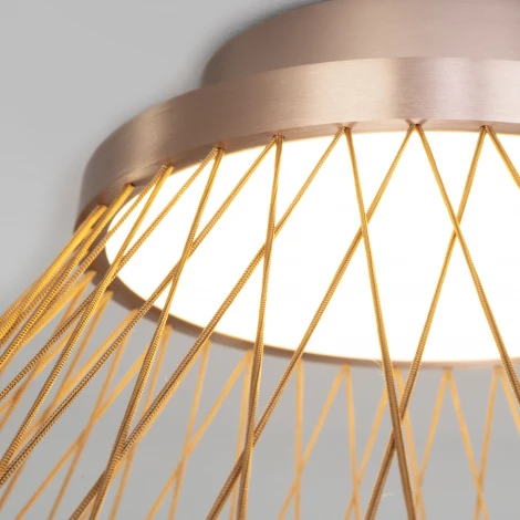 Потолочный светильник круглый Eurosvet Cesta 40019/1 LED коричневый (220V, круглые)