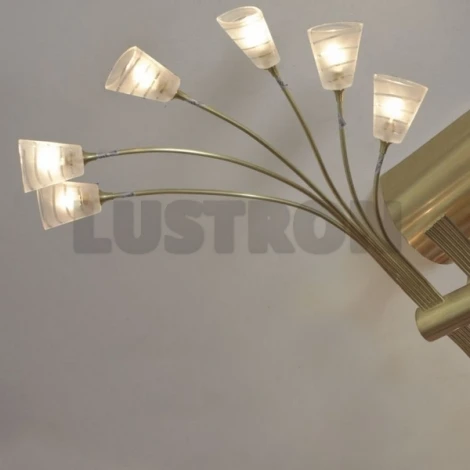 Потолочный светильник Lussole Udine LSA-1093-12