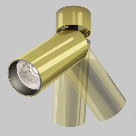 Спот Maytoni Focus Led C055CL-L12W4K-W-BS (220V, круглые)