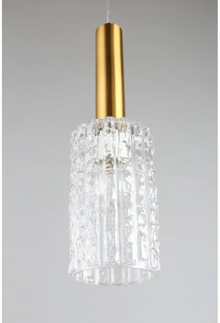 Подвесной светильник Aployt Henrite APL.310.06.01