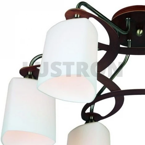 Потолочная люстра Omnilux OML-268 OML-26817-06
