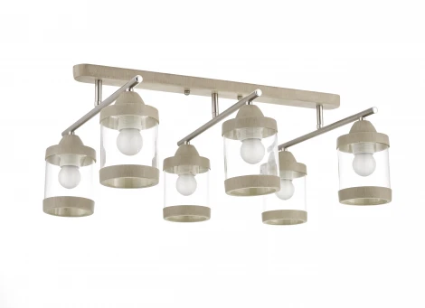 Потолочная люстра J-Light Arina 1066/6C