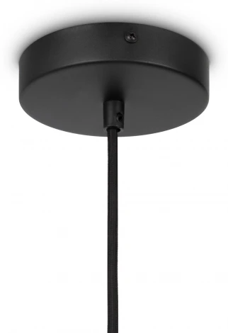 Подвесной светильник Maytoni Roots MOD197PL-01W1 (220V, на проводе)