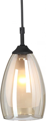 Подвесной светильник V2962-1/1S Vitaluce