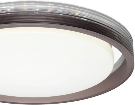 Настенно-потолочный светильник Sonex 7698/DL Meden пластик/кофе/прозрачный LED 48Вт 3000-6000K пульт ДУ (220V, круглые, IP43)