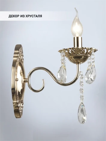 Бра Wedo Light Feroniya WD3543/1W-FGD-CL