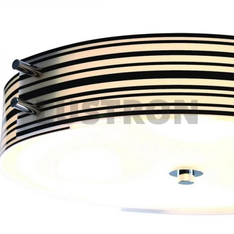 Потолочный светильник ST Luce Hegia SL484.542.04