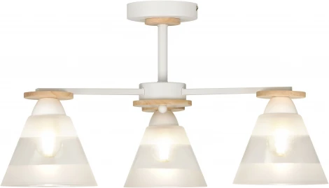 Потолочная люстра на штанге Rivoli Theothila 9177-303