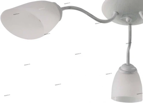 Потолочная люстра J-Light Balu 1510/3C