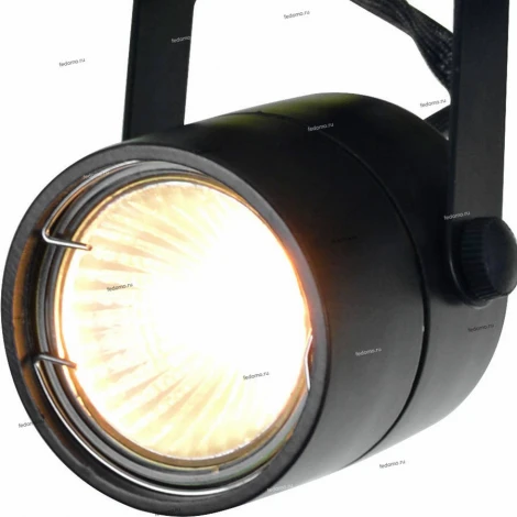 Спот Arte Lamp Lente A1310PL-2BK