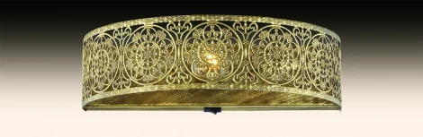 Настенный светильник Odeon Light Aster 2782/1W