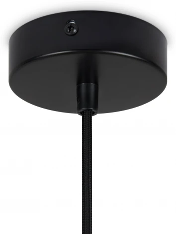 Подвесной светильник Freya AvaGarden FR5249PL-03BG (220V, на проводе)