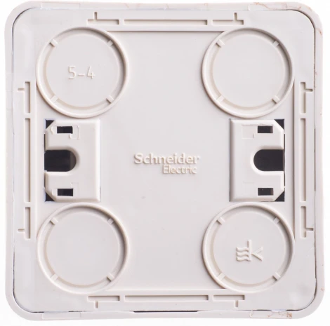 Выключатель накладной двухклавишный с подсветкой (сосна) Systeme Electric BA10-006D