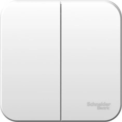 Выключатель накладной двухклавишный (белый) Systeme Electric Blanca BLNVA105001