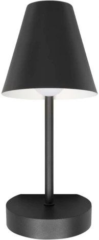 Настенные светильники Loft It Shelf 10216/1W Black (220V, выключатель)