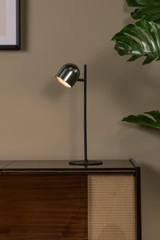 Настольная лампа Lucide Skanska Rech 03649/03/15 (LED, 220V, IP44)