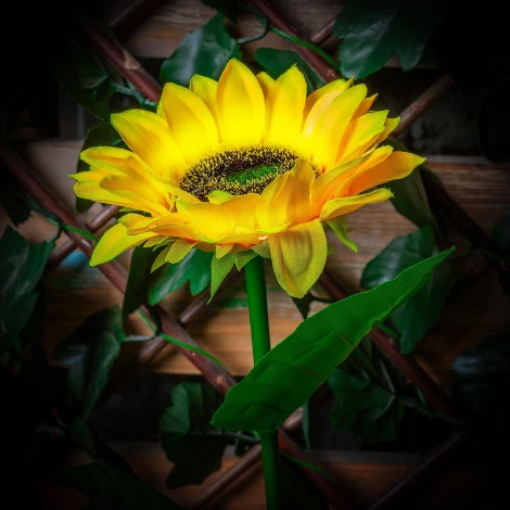 Садовый светильник на солнечной батарее «Подсолнух». 8 светодиодов, 1*АА Ni-Mh аккумулятор в/к. IP44 Uniel USL-S-814/PT700 SUNFLOWER