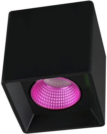 Накладной точечный светильник Denkirs DK3080-BK+PI