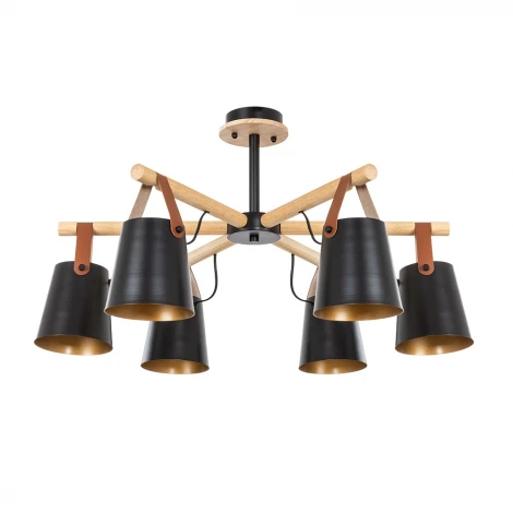 Потолочная люстра на штанге Arte Lamp Thomas A7032PL-6BK (220V)