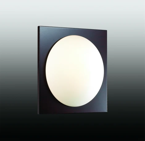 Настенно-потолочный светильник Odeon Light Brido 2763/1C