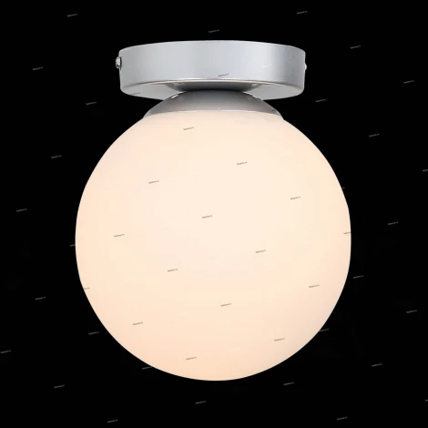 Настенно-потолочный светильник ST Luce Acini SL717.501.01