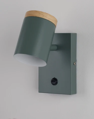 Спот с выключателем Moderli Asheswood V11294-1W (220V)