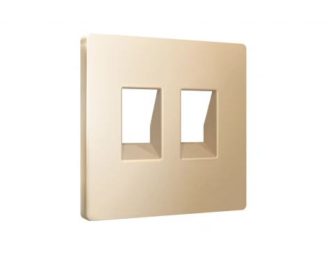Лицевая панель для Ethernet RJ-45/телефонной RJ-11 двойной розетки (шампань) Ambrella Volt QUANT AP6121